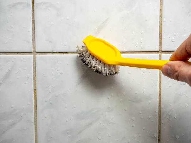 Best Mold Removal Near Me  in Seaside Park, NJ