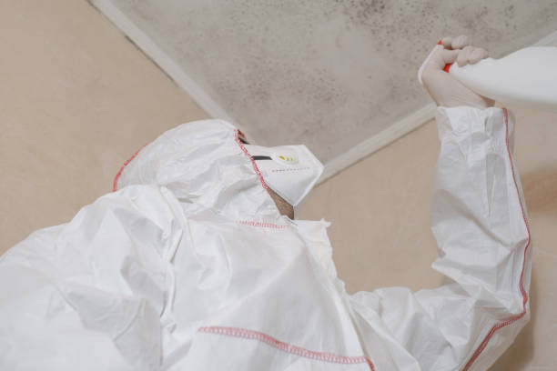 Best Emergency Mold Removal  in Seaside Park, NJ